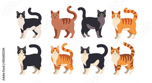 A charming set of eight cartoon cats in standing poses, featuring tuxedo and ginger tabby patterns with slight variations in design.