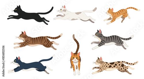 A dynamic collection of eight cats of various breeds and colors, all captured in a fast running or jumping motion, on white.