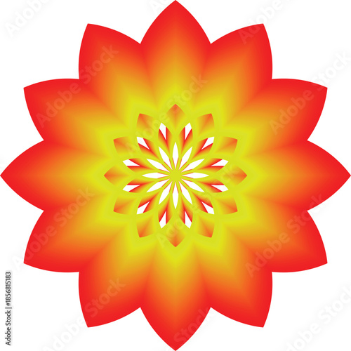 Vibrant Red and Yellow Flower with White Center 3 D