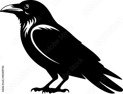 Raven black silhouette Vector illustration