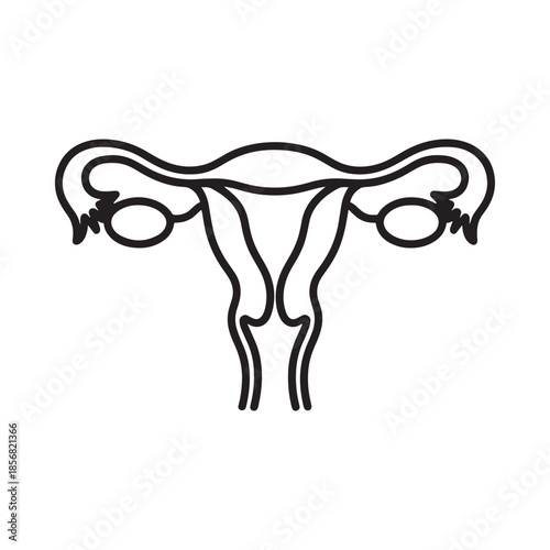 Line drawing illustration of a female uterus with fallopian tubes and ovaries