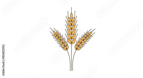 Elegant illustration of three ripe wheat stalks tied together in the center against a clean white background for a harvest theme.