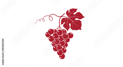 Bunch of red grapes with a single leaf and vine swirl isolated on a white background for wine and healthy food branding.