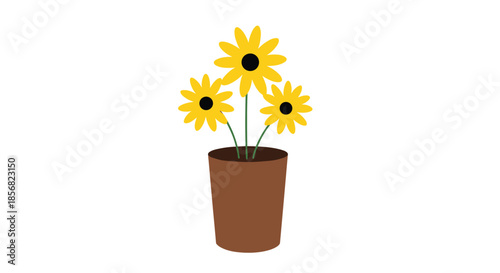 Three bright yellow sunflowers in a simple brown ceramic pot isolated on a white background for home and garden decoration.