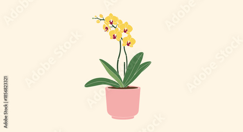 Elegant illustration of a flowering yellow orchid plant in a simple pink ceramic pot on a neutral background.