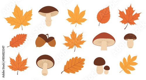Comprehensive collection of flat autumn elements including various colorful tree leaves, forest mushrooms, and acorns.