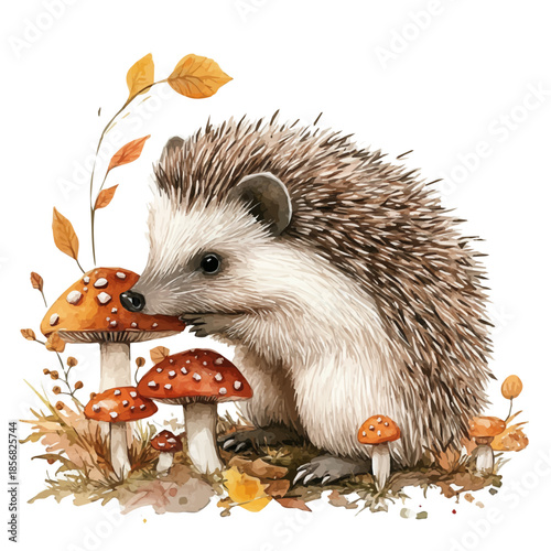watercolor of Hedgehog Sniffing vector painting, isolated on a white background.