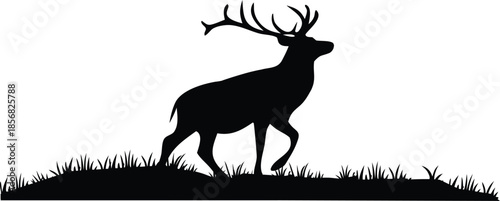 Silhouette of a Majestic Stag with Large Antlers Walking on Grassy Ground Against a White Background
