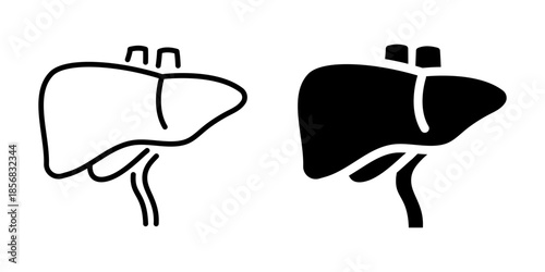 Human liver icon. Line and silhouette style.