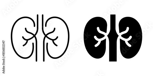 Human kidneys icon. Line and silhouette style.