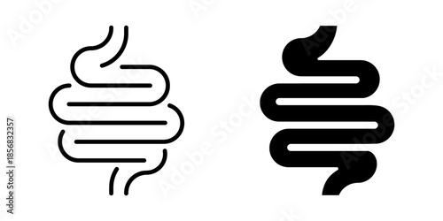 Digestive tract icon. Line and silhouette style.