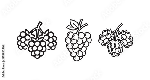 Blackberry collection set of line art vector illustration