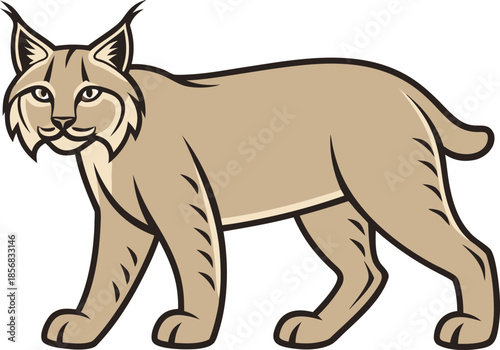 Bobcat Wildlife Illustration. Bobcat Single Animal Illustration. Bobcat Wild Cat Artwork. Bobcat North American Animal. Bobcat Standing Pose Illustration. Bobcat Predator Wildlife Design