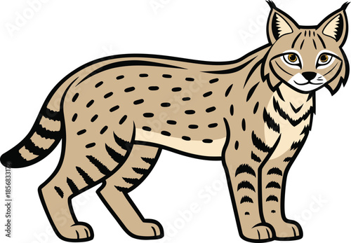 Bobcat Wildlife Illustration. Bobcat Single Animal Illustration. Bobcat Wild Cat Artwork. Bobcat North American Animal. Bobcat Standing Pose Illustration. Bobcat Predator Wildlife Design