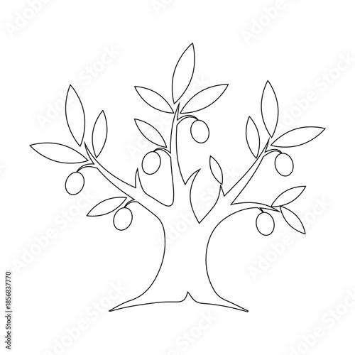 Hand Drawn Olive Tree Sketch - Nature Coloring Page Illustration