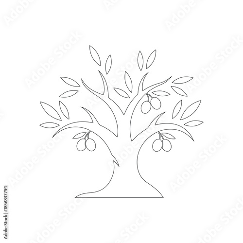 Minimalist Olive Tree Line Art - Black and White Vector Outline
