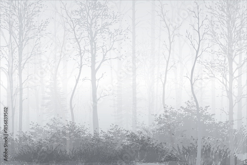 Fog shrouds the forest in mystery