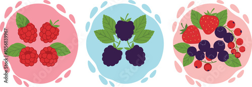 Fresh organic berries vector illustration set featuring red raspberries blackberries blueberries strawberries and red currants with green leaves for summer fruit and healthy food