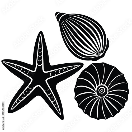 Minimal sea shells and starfish silhouette vector