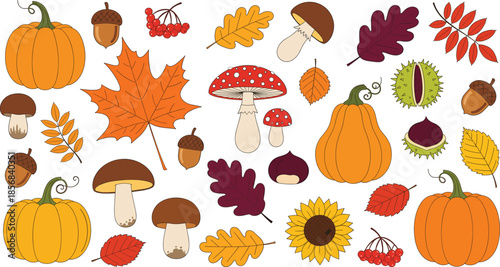 Autumn fall vector illustration set featuring orange pumpkins colorful maple leaves mushrooms acorns chestnuts sunflower and rowan berries isolated on white background for harvest