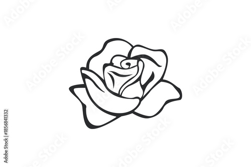 Hand drawn rose flower line art, modern minimal floral vector.