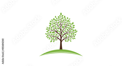 Beautiful stylized green tree with many small leaves standing on a soft grassy hill against a plain white background.