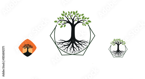 Set of three environmental logos featuring a detailed tree with extensive roots inside hexagonal and diamond shaped frames.