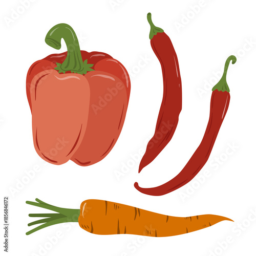 Illustration of peppers and carrots isolated on a background. Hand-drawn vegetables. Vegetarian diet food with vitamins for preparing delicious and healthy dishes.