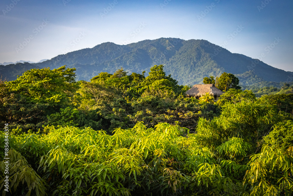 Obraz premium mountains of tayrona national park, tayrona, colombia, santa marta, caribbean, latin america, south america, rainforest, tropical 