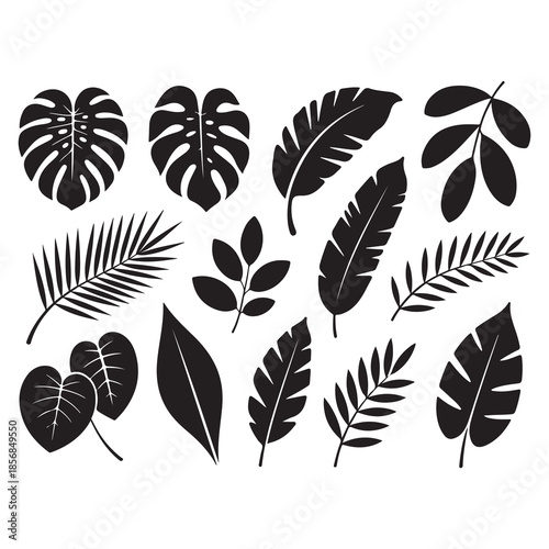 Leaf Silhouette Icons – Botanical Shapes, Plant Species, Nature, Foliage, Ecology Symbols