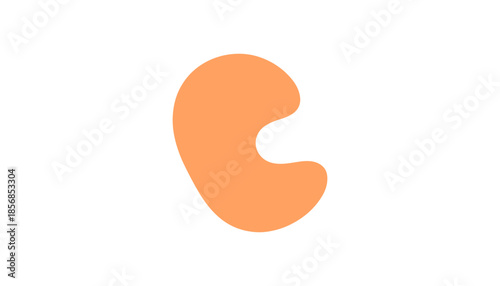 dog bone steak isolated