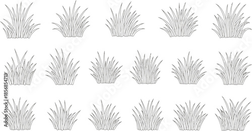 Vector set of outlined grass tufts and clumps, detailed black and white botanical design elements for natural scenes
