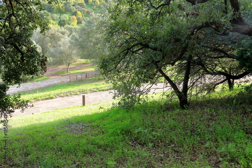 Parque florestal de Monsanto