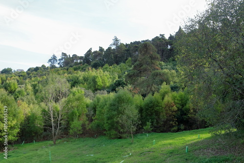 Parque florestal de Monsanto