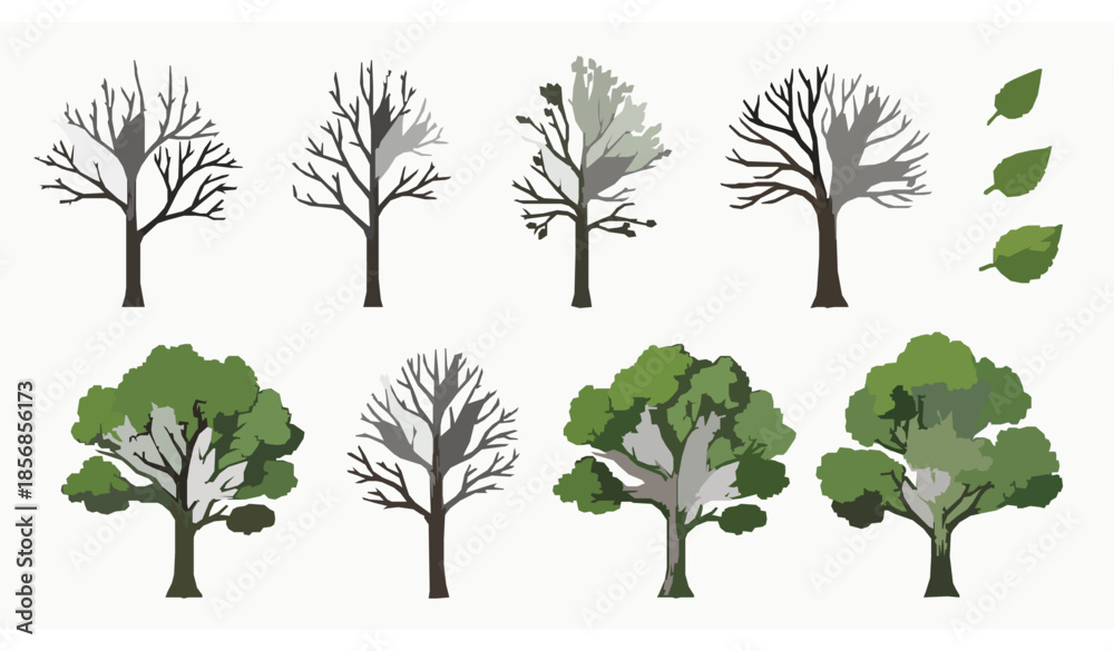 Obraz premium Botanical hand drawn flat tree vector elements set with leafless and green foliage variations