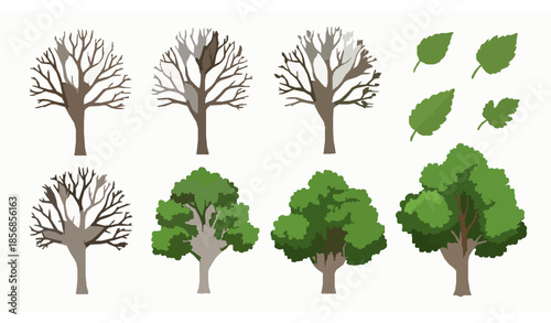 Hand drawn tree and leaf vector set with bare branches and lush green foliage botanical elements