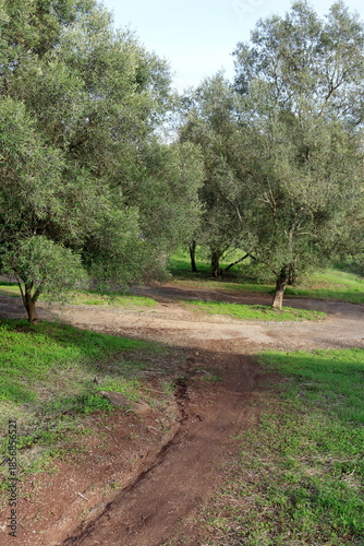 Parque florestal de Monsanto