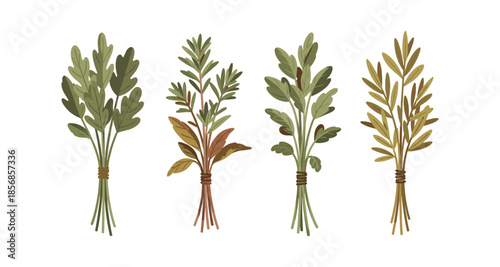 Collection of four stylized herb bunches tied with twine on a white background
