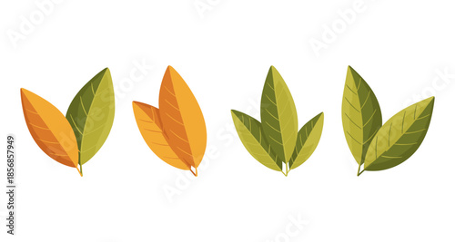 Collection of stylized autumn and summer leaves in green and orange hues