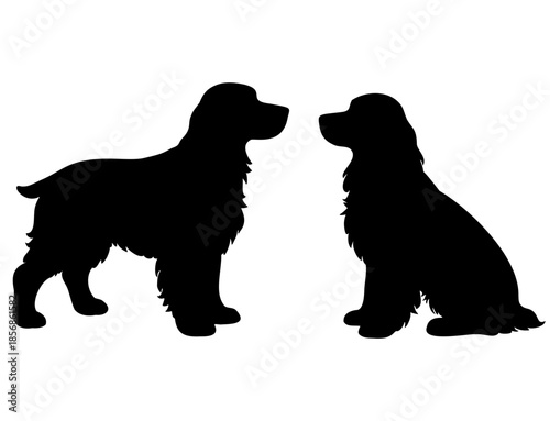 Silhouette of Two Black Cocker Spaniel Dogs, Sporting Spaniel Breed Illustration