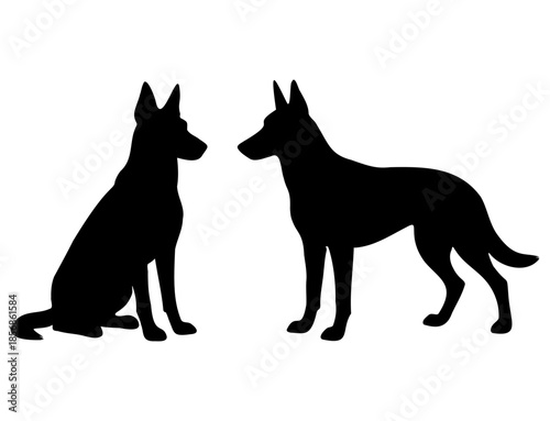 Silhouette of Two Black Belgian Malinois Dogs, Working Shepherd Breed Illustration