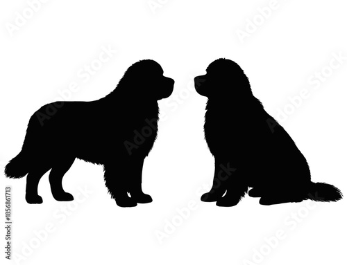 Silhouette of Two Black Newfoundland Dogs, Large Working Breed Illustration