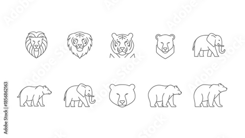 Collection of Diverse Wild Animal Outline Art Lion Tiger Bear Elephant Icons