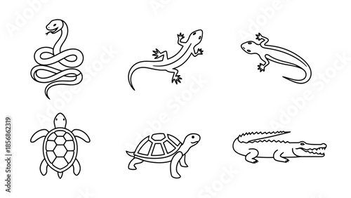 Set of Hand Drawn Reptile Icons Snake Lizards Turtle Crocodile Amphibian Line Art Collection