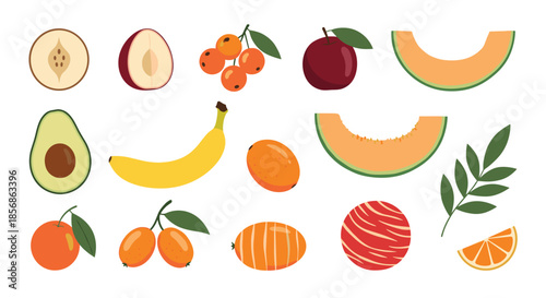 Colorful assortment of tropical fruits including sliced melon a yellow banana orange citrus fruits and a green avocado half.
