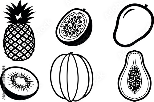 Tropical fruits vector set with pineapple, passion fruit, mango, kiwi, melon, papaya in black and white line art style