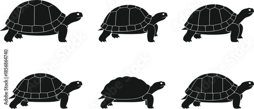 Turtle silhouette vector illustration, sea and land animal poses, wildlife clipart design element, isolated on white background, side profile view