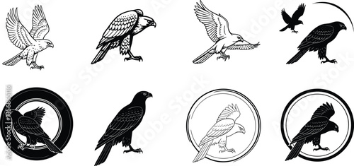 Birds of prey vector set, hawk and falcon silhouettes, flying and perched raptor icons, emblem designs, wildlife illustrations for logo and branding