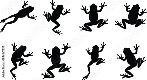 PrintSequential black silhouettes of a person paddling a kayak in four increasing sizes to represent growth and progress in sports