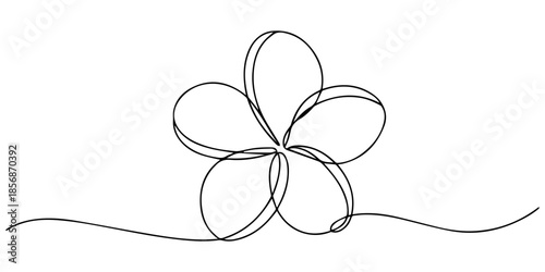 Plumeria flowers in continuous one  line art drawing. Frangipani blossom. Vector illustration isolated on white, Plumeria flowers in continuous line art drawing style. Minimalist black line sketch